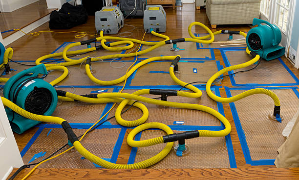 Professional Sewage Cleanup technician working in Dover, OH